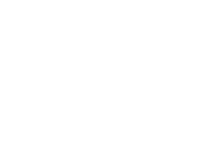 Evolution games at Bankon Bet Casino